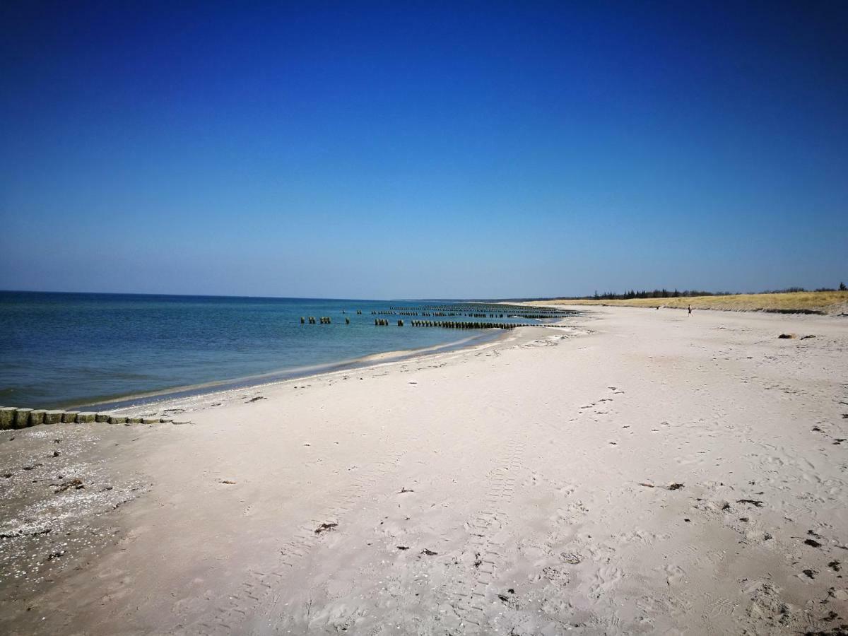 Darsser Strandgut - Haus Ahrenshooper Holz מראה חיצוני תמונה