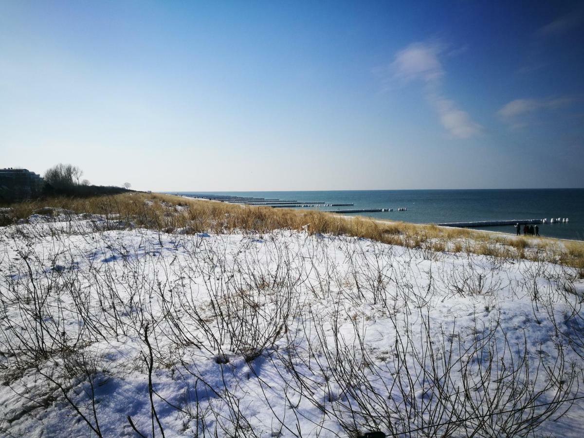 Darsser Strandgut - Haus Ahrenshooper Holz מראה חיצוני תמונה