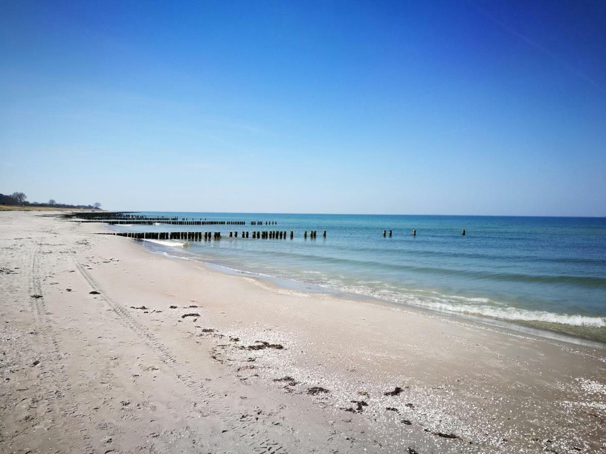 Darsser Strandgut - Haus Ahrenshooper Holz מראה חיצוני תמונה